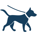 Dog Walking